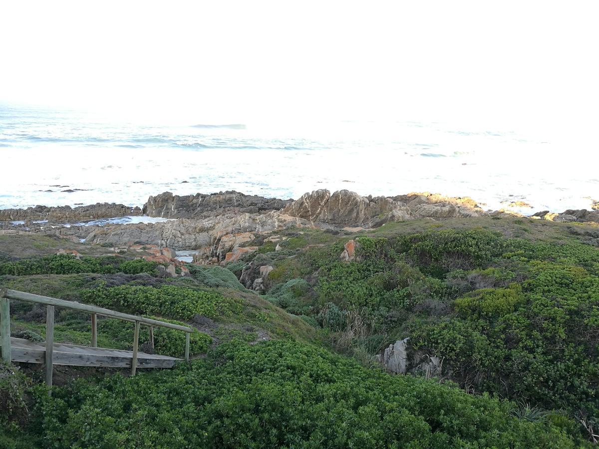 Groenhuisie Oyster Bay Bagian luar foto