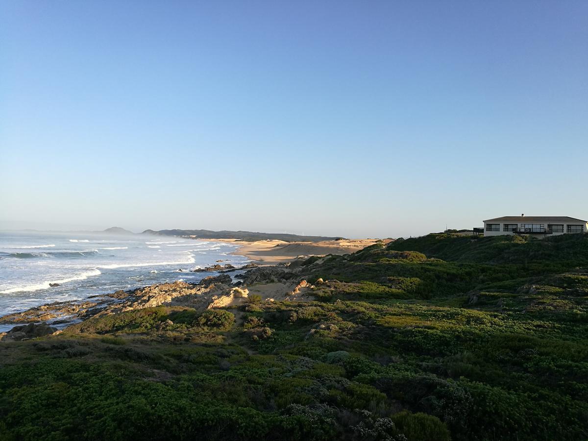Groenhuisie Oyster Bay Bagian luar foto